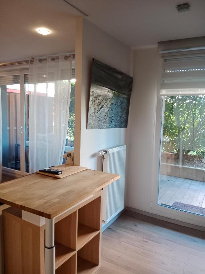 Tres Bel Appartement Rez De Jardin Appart De 53M2. Pfastatt Exteriör bild